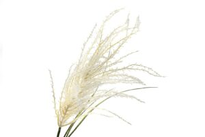 Beyaz Kamış Yapay Çiçek 80cm
