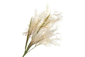 Beyaz Turuncu Kamış Yapay Çiçek 69cm