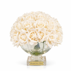 Ana Sayfa 42 01KJSZFXQ3WCD1Q46GBQSDHBRV 4