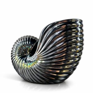 Ana Sayfa 3 01KKPA8MDYY47C9DJBG3374V0W 4