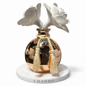 Ana Sayfa 6 01KMJK9DCPG8HXN8RVMAM7JXPD 3