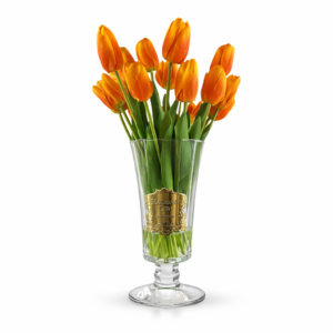 Ana Sayfa 1 01KMJQ7M3WF41CZK7TNZP43P84 5