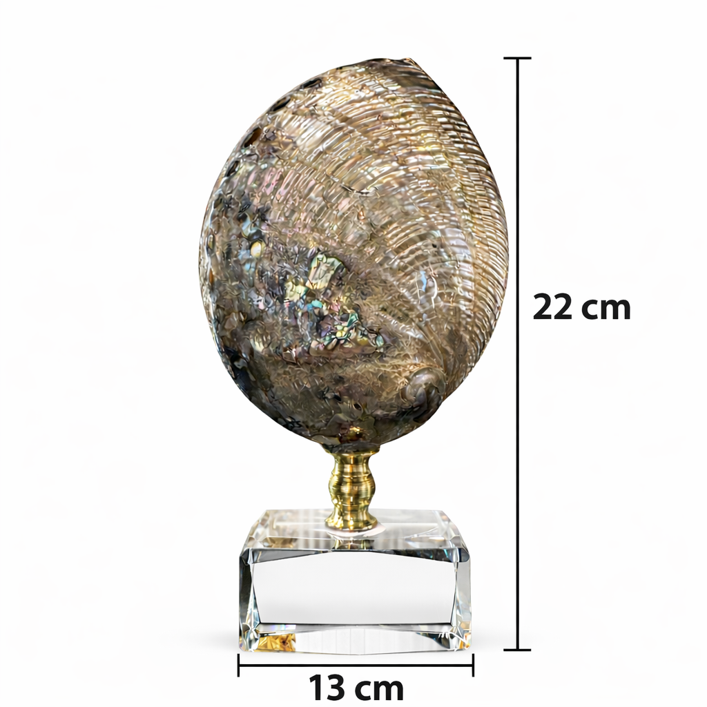 01KMQK0P4R5T5Y2K81XNBD1Y71-2.png 01KMQK0P4R5T5Y2K81XNBD1Y71 2