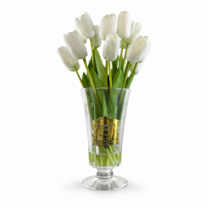 Ana Sayfa 24 01KMZ0YDD8ZFMZ7N00B74VENV0 4