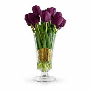 Ana Sayfa 23 01KMZ199GRB1QX7BRYXYN1VN1C 6