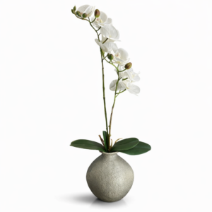 Ana Sayfa 19 01KMZ9NHV6BMTB4HQNCC841E45 4