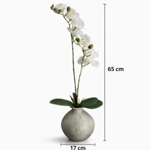 01KMZ9NHV93H8JD67VBB64W8TM-4.png 743067