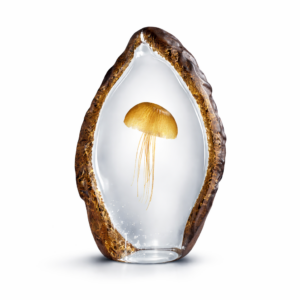 Ana Sayfa 35 01KJFD10PNZ7KDEXV7EZYFJBS9 2