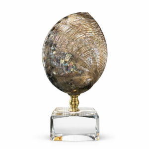 Ana Sayfa 32 01KMQK0P4NKJS1ME80JJHED00A 1