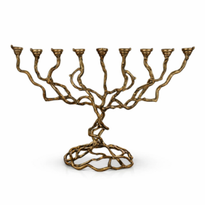 Ana Sayfa 28 01KNKVTEMTS59Y3151KBBRNT9B 12