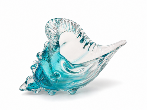 Mavi Cam Deniz Kabuğu