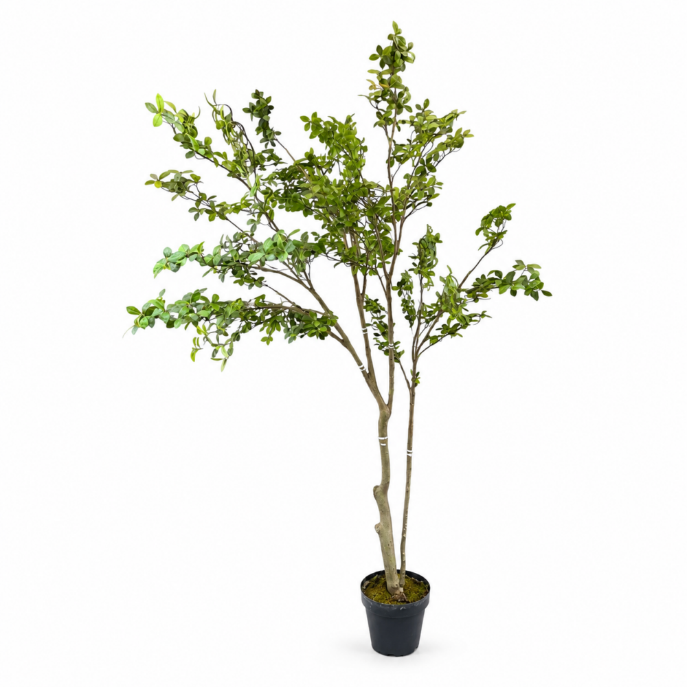Schefflera Yapay Ağaç