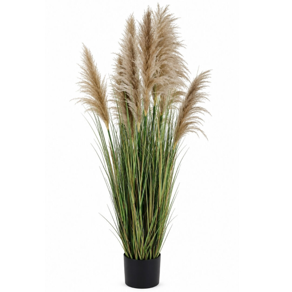 Yapay Pampas 220 Cm